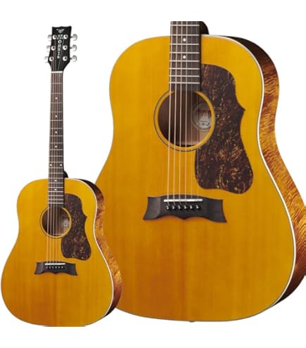 Amazon | MORRIS G-021 RBS (レッドブラウンサンバースト